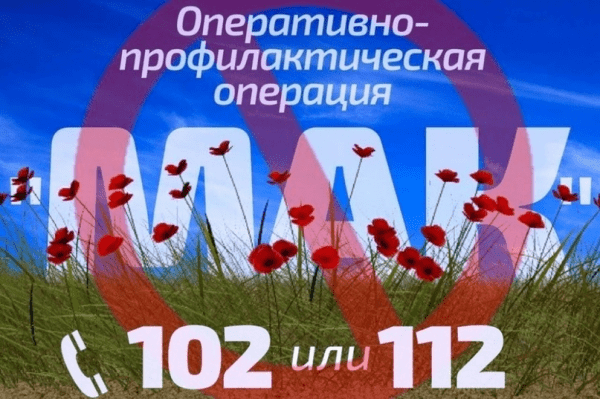 «МАК - 2023» «МАК - 2023»