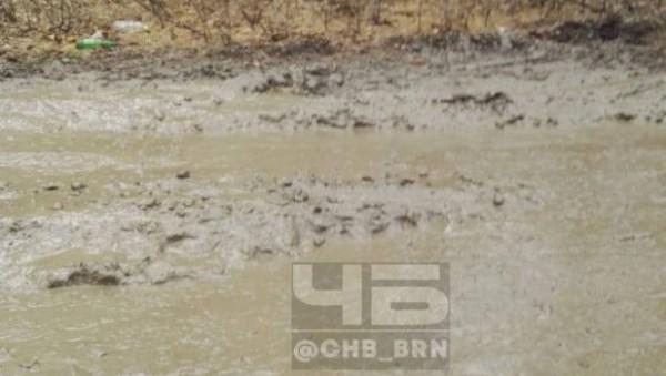 Барнаульцы жалуются на непролазную грязь в одном из микрорайонов