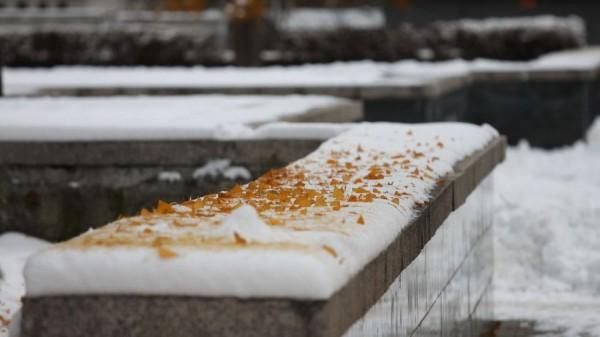 Еще не мороз: какая погода будет в Алтайском крае на выходных 