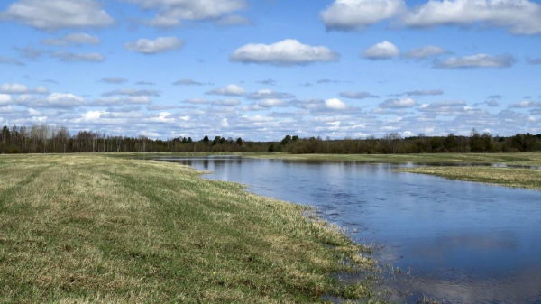 Уровень воды в реках Алтайского края продолжает подниматься Уровень воды в реках Алтайского края продолжает подниматься