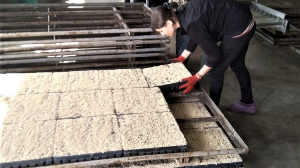 Теплицы и саженцы: в Алтайском крае стартовал новый этап лесовосстановительных работ Теплицы и саженцы: в Алтайском крае стартовал новый этап лесовосстановительных работ