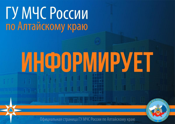 В Алтайском крае во второй половине ночи и днём 30 марта ожидается усиление ветра! В Алтайском крае во второй половине ночи и днём 30 марта ожидается усиление ветра!