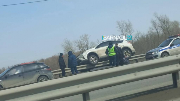 Необычное ДТП произошло на выезде из Барнаула Необычное ДТП произошло на выезде из Барнаула