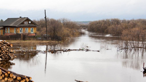 В некоторых районах Алтайского края поднялся уровень воды В некоторых районах Алтайского края поднялся уровень воды