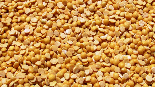 Алтайские продукты направятся на полки Тюменской области Алтайские продукты направятся на полки Тюменской области