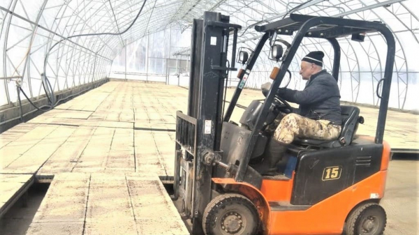 Теплицы и саженцы: в Алтайском крае стартовал новый этап лесовосстановительных работ Теплицы и саженцы: в Алтайском крае стартовал новый этап лесовосстановительных работ
