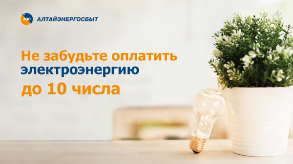 &laquo;Алтайэнергосбыт&raquo; предлагает простые способы оплатить счета за свет
